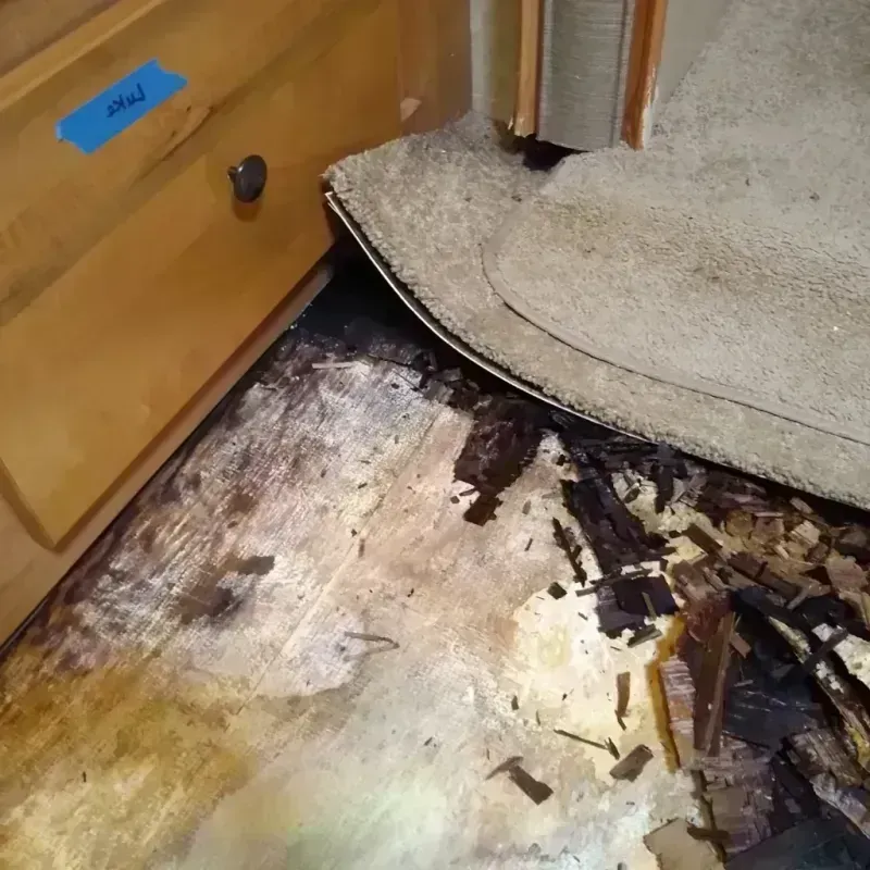 Wood Floor Water Damage in The Meadows, FL